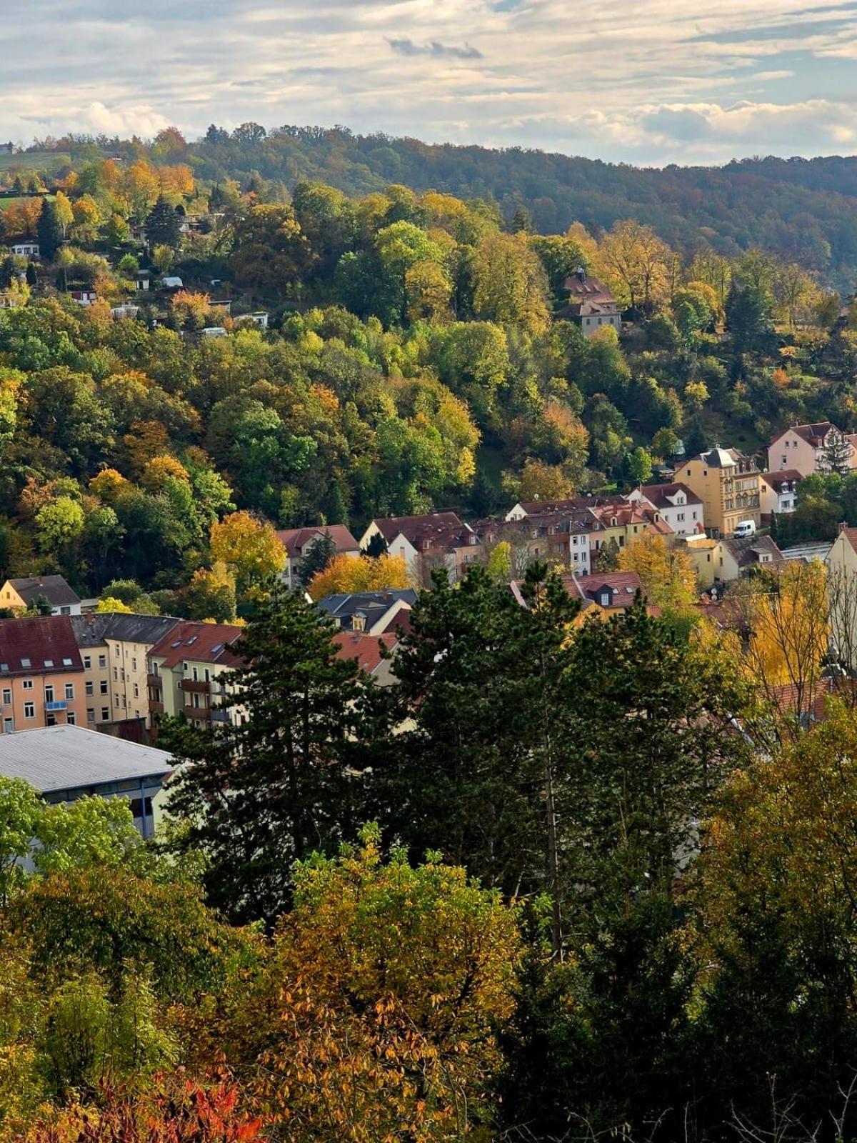 Cozy Pet-Friendly Apartment Meissen Exterior photo